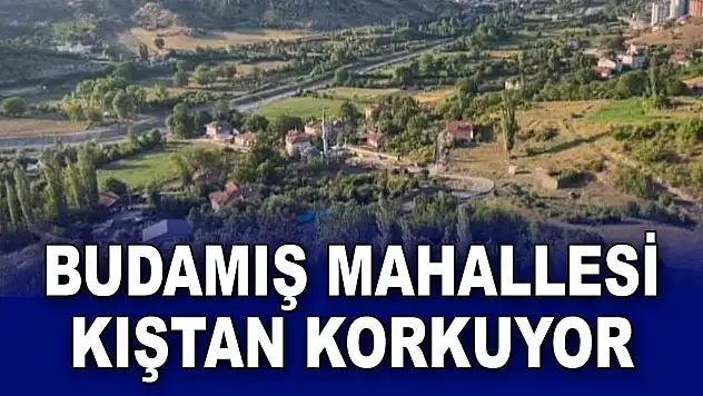 Budamış Mahallesi'nin O Korkusu: Muhtar Karabacakoğlu Açıkladı