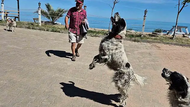 Bunlar da dronsavar köpekler