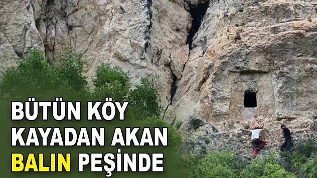 Bütün Köy Kayadan Akan Bu Balın Peşinde