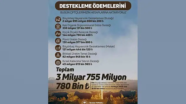 Buzağı Desteği Ödemeleri Üreticilerin Hesaplarına Aktarılıyor