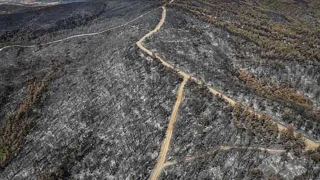 Çanakkale'de 118 Orman Yangınında 7 Bin 39 Hektar Alan Zarar Gördü
