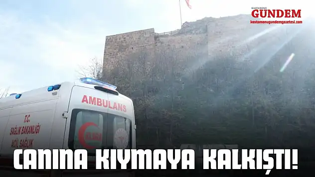 Canına Kıymaya Kalkıştı!