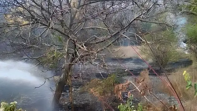 Çankırı'da arazi yangını