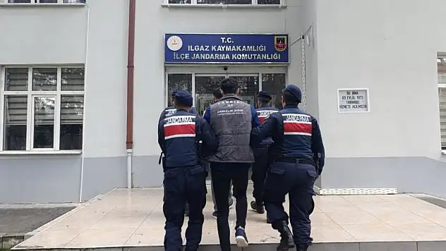 Çankırı'da Büyükbaş Hayvan Çalan Şahıslar Tutuklandı