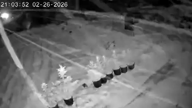 Çankırı'da Kar Yağışı Etkili Oluyor