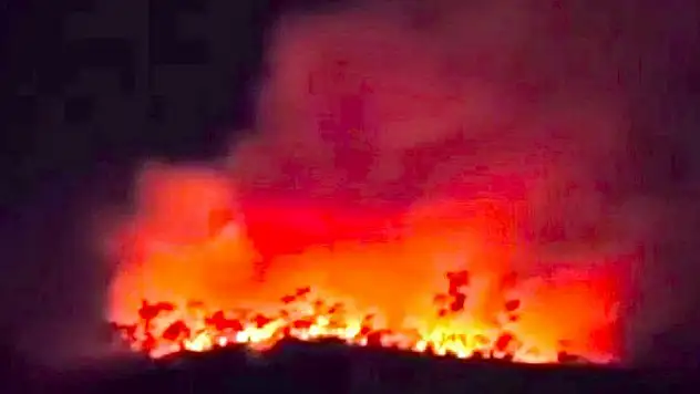 Çankırı'daki orman yangını söndürüldü