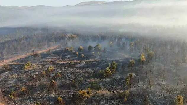Çankırı'daki Orman Yangınına Müdahale Sürüyor