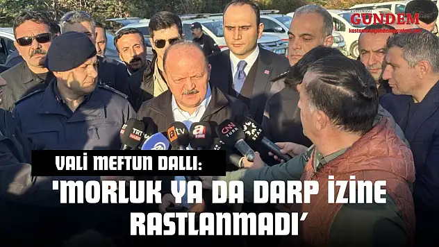 Cansız Bedenleri Bulunan Anne Ve Oğlu Hakkında Vali Dallı'dan Açıklama