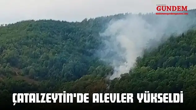 Çatalzeytin'de Alevler Yükseldi