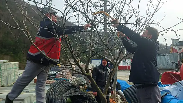 Çatalzeytin'de Belediye Personeline Kültürel Bakım Eğitimi
