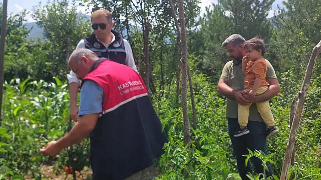 Çatalzeytin'de Çiftçilere Bahçelerinde Teknik Destek