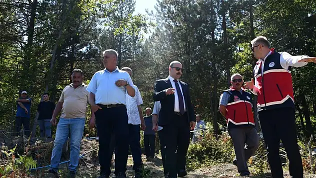 Çatalzeytin'de İlk Aronya Hasadı Gerçekleştirildi