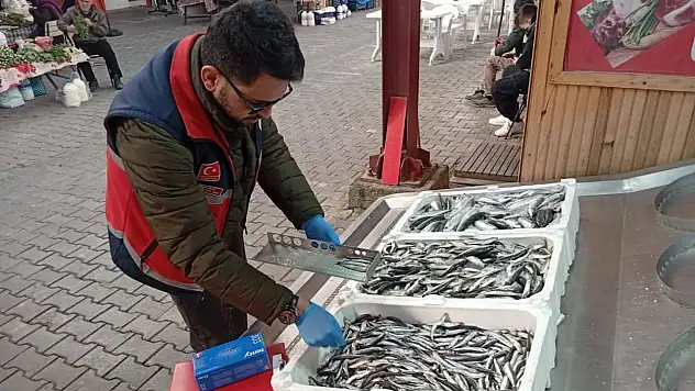 Çatalzeytin'de Su Ürünleri Denetimleri Sürüyor