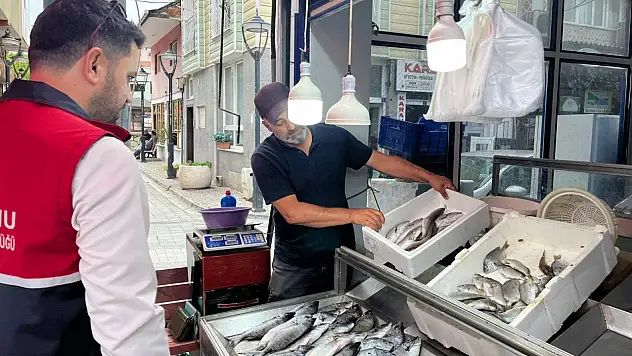 Çatalzeytin'de Su Ürünleri Denetimleri Devam Ediyor