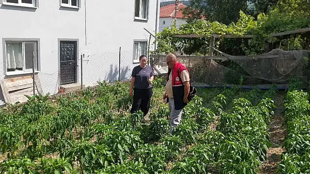 Çatalzeytin'de Üreticilere Destek