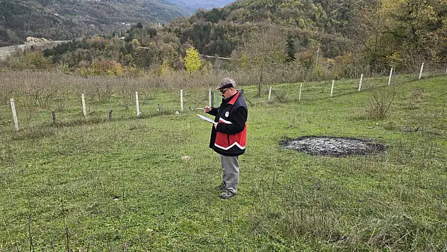 Çatalzeytin'de Ürün Beyan Doğrulama Çalışmaları Sürüyor