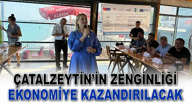 Çatalzeytin'in Zenginliği Ekonomiye Kazandırılacak