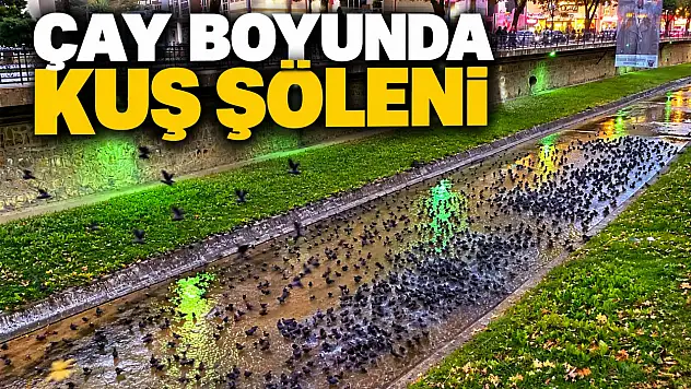Çay Boyunda Kuş Şöleni
