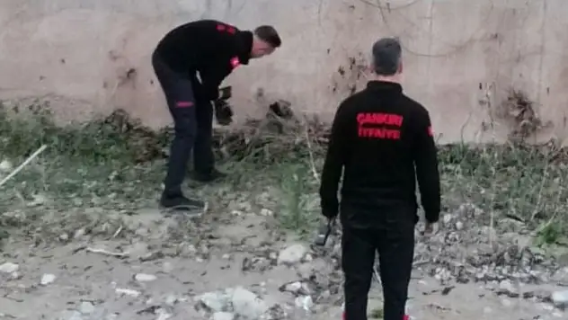 Çaya Düşen Yavru Köpek Kurtarıldı