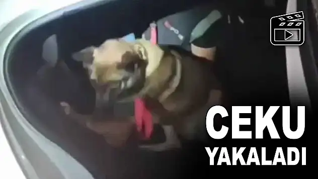 CEKU Yakaladı
