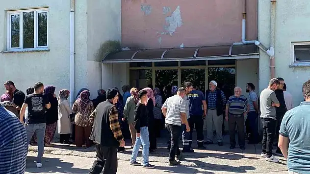 Ceviz Toplarken Elektrik Akımına Kapıldı, Hayatını Kaybetti
