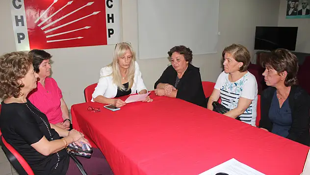 CHP'li kadınlar, tekme saldırısını kınadı