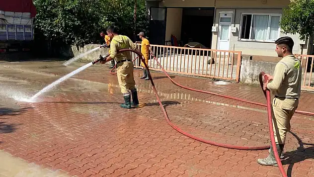 Cide'de Selin İzlerini Silmek İçin Sahadalar