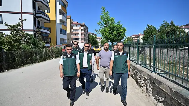 Cide'de Taşkın Kontrol Çalışmaları İncelendi