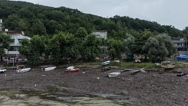 Liman Balçık Ve Odunlarla Kaplandı