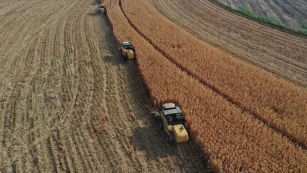 Çiftçilere Bugün Destekleme Ödemesi Yapılacak