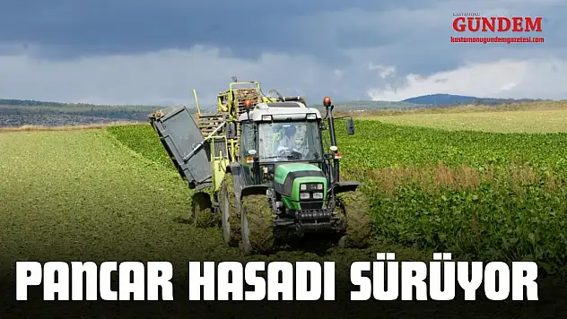 Çiftçilerin Zorlu Pancar Mesaisi Devam Ediyor
