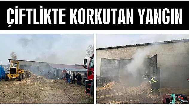 ÇİFTLİKTE KORKUTAN YANGIN