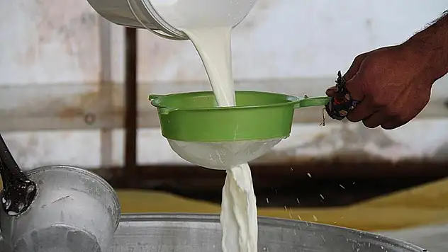 Çiğ Süt Üretimi Azaldı