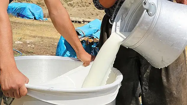Çiğ Süt Üretimi Yüzde 4,9 Azaldı