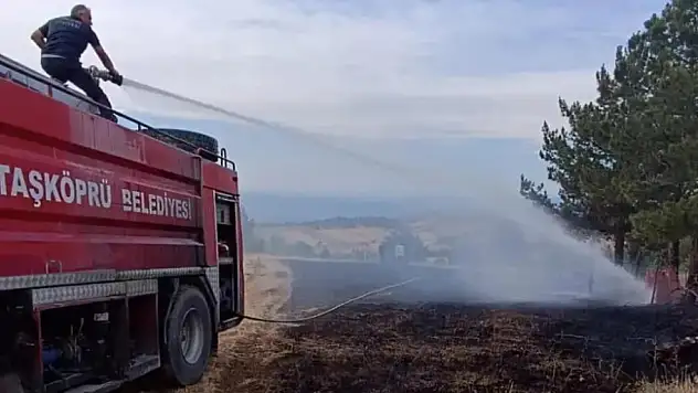 Çıkan Yangın Ormana Sıçramadan Söndürüldü
