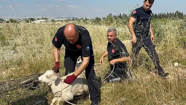Çıkardığı Sesle Hayata Tutundu