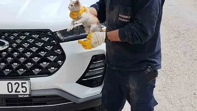 Yavru Kediyi İtfaiye Kurtardı