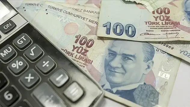 Ciro Yıllık Yüzde 30,2 Arttı