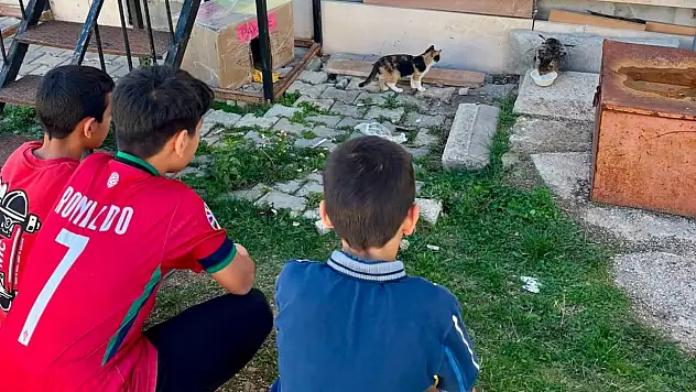 Çocuklar Sokak Hayvanlarını Unutmadı