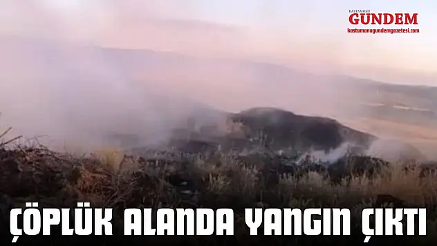 Çöplük Alanda Yangın Çıktı