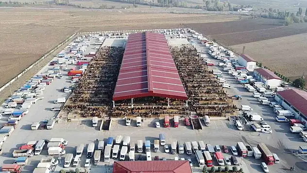Kurban Pazarı Yarın Açılıyor