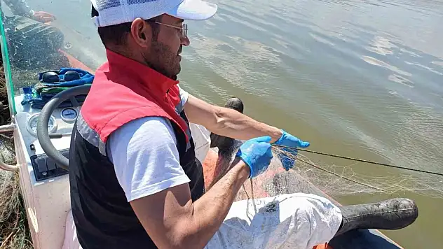 Çorum'da 3 bin 100 metre hayalet ağ ele geçirildi