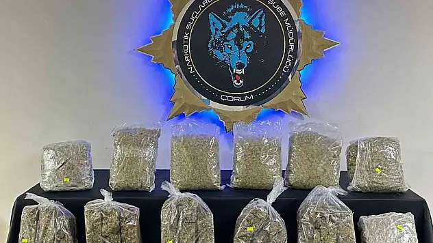 Çorum'da 9 kilo skunk ele geçirildi: 1 tutuklama