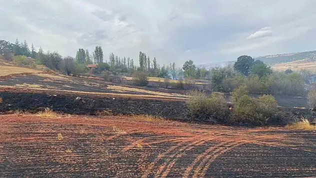Çorum'da Arazi Yangını