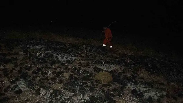 Yangın Ormana Sıçramasını Ekipler Önledi