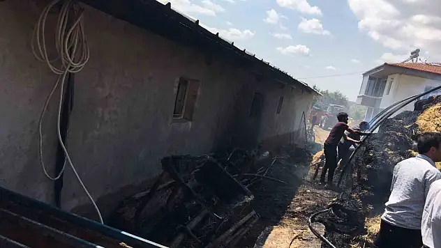 Çorum'da Çıkan Yangında 550 Balya Ot Kül Oldu