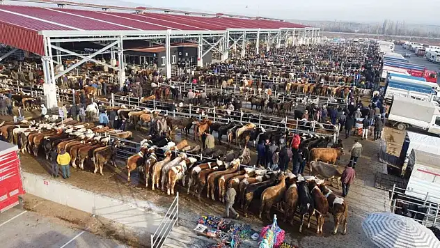 Çorum' Hayvan Pazarı Kapatıldı
