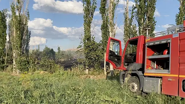 Çorum'da orman yangını