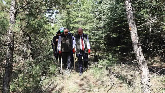 Çorum'da Ormandaki Çöpler İçin Seferber Olundu