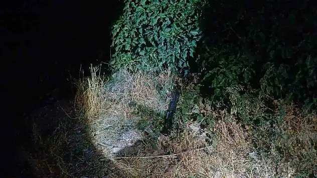 Çorum'da Saldırıya Uğrayan Adam Bacağından Yaralandı
